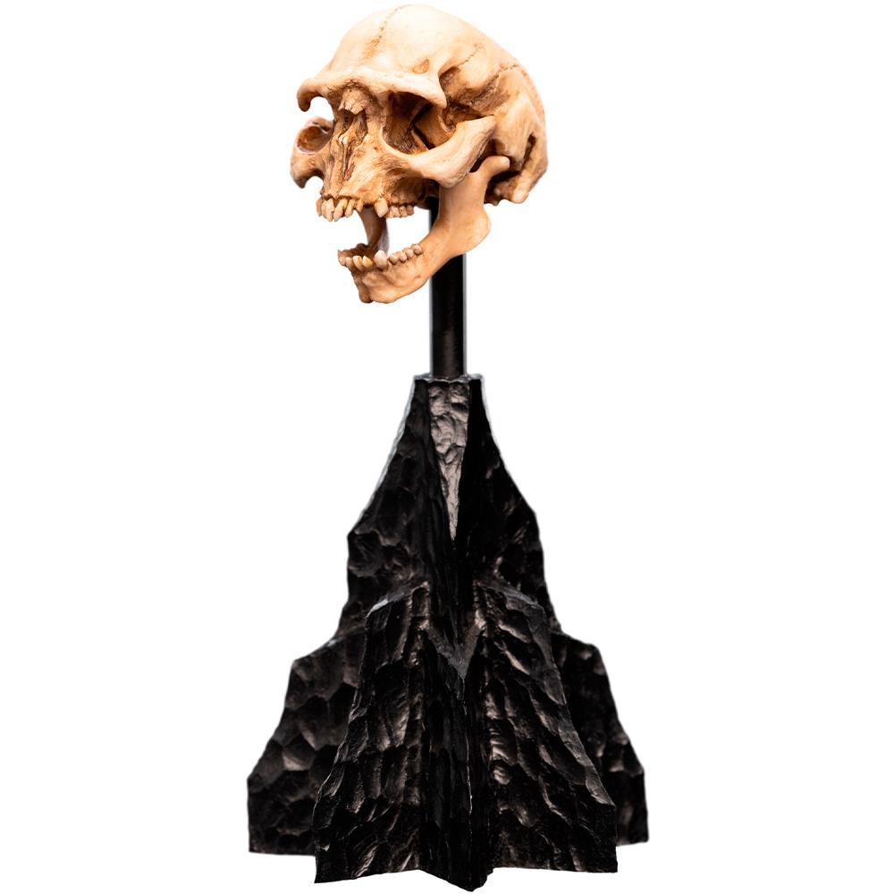 Weta Workshop Lord of the Rings - Skull of a Moria Orc Minuature – view 8