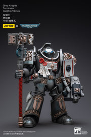 Warhammer 40k JoyToy Actionfigure - Grey Knights Terminator Caddon Vibova figure for collectors, display and premium shelf presentation