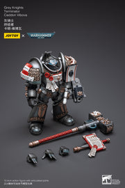 Warhammer 40k JoyToy Actionfigure - Grey Knights Terminator Caddon Vibova figure for collectors, display and premium shelf presentation