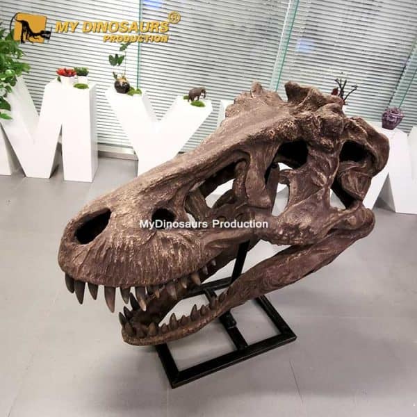 T-Rex Head - Museum Quality replica doll from Real size fossil replica for collectors, display and premium shelf presentation