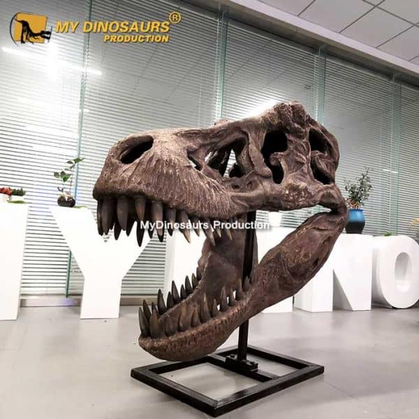 T-Rex Head - Museum Quality replica doll from Real size fossil replica for collectors, display and premium shelf presentation