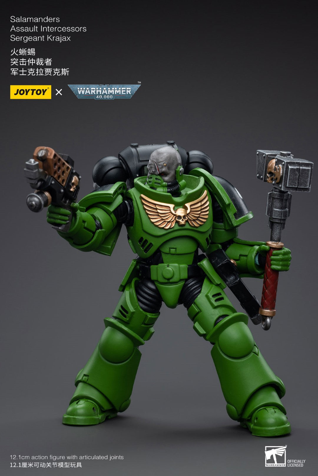 Warhammer 40k JoyToy Actionfigure - Salamanders Assault Intercessors Sergeant Krajax figure for collectors, display and premium shelf