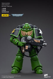 Warhammer 40k JoyToy Actionfigure - Salamanders Intercessors Brother Haecule figure for collectors, display and premium shelf presentation