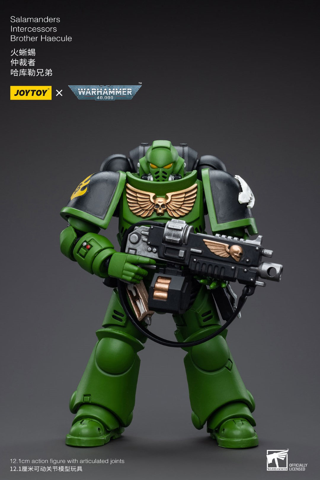 Warhammer 40k JoyToy Actionfigure - Salamanders Intercessors Brother Haecule figure for collectors, display and premium shelf presentation