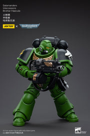 Warhammer 40k JoyToy Actionfigure - Salamanders Intercessors Brother Haecule figure for collectors, display and premium shelf presentation