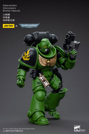 Warhammer 40k JoyToy Actionfigure - Salamanders Intercessors Brother Haecule figure for collectors, display and premium shelf presentation