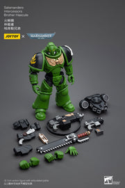 Warhammer 40k JoyToy Actionfigure - Salamanders Intercessors Brother Haecule figure for collectors, display and premium shelf presentation