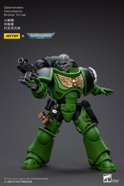 Warhammer 40k JoyToy Actionfigure - Salamanders Intercessors Brother Tol'vak figure for collectors, display and premium shelf presentation