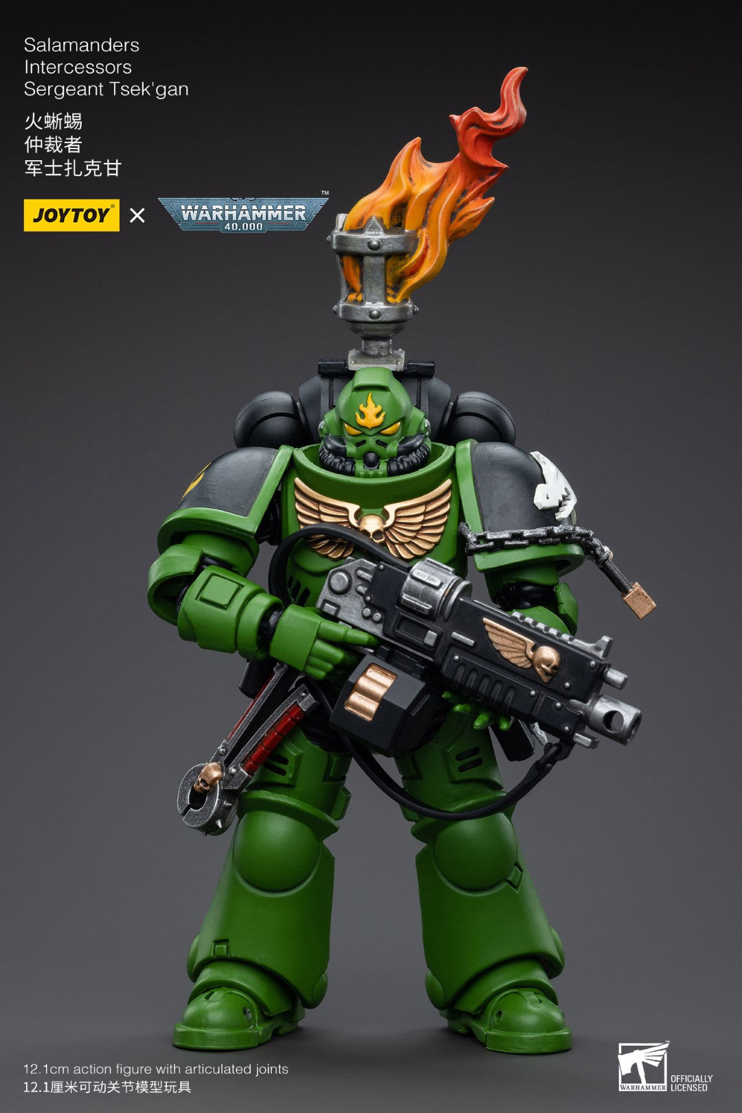 Warhammer 40k JoyToy Actionfigure - Salamanders Intercessors Sergeant Tsek'gan figure for collectors, display and premium shelf presentation