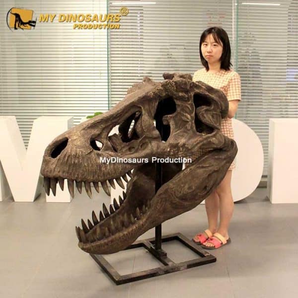 T-Rex Head - Museum Quality replica doll from Real size fossil replica for collectors, display and premium shelf presentation