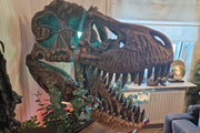 T-Rex Head - Museum Quality IN STOCK replica doll from Real size fossil replica for collectors, display and premium shelf presentation