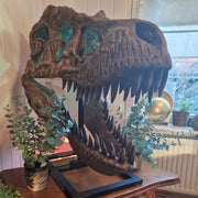 T-Rex Head - Museum Quality IN STOCK replica doll from Real size fossil replica for collectors, display and premium shelf presentation