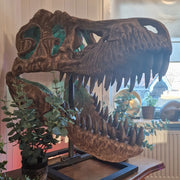 T-Rex Head - Museum Quality IN STOCK replica doll from Real size fossil replica for collectors, display and premium shelf presentation