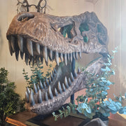 T-Rex Head - Museum Quality replica doll from Real size fossil replica for collectors, display and premium shelf presentation
