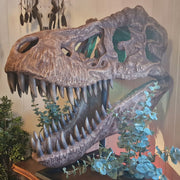 T-Rex Head - Museum Quality IN STOCK replica doll from Real size fossil replica for collectors, display and premium shelf presentation