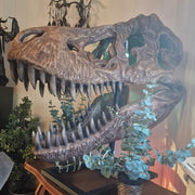 T-Rex Head - Museum Quality replica doll from Real size fossil replica for collectors, display and premium shelf presentation