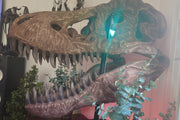 T-Rex Head - Museum Quality IN STOCK replica doll from Real size fossil replica for collectors, display and premium shelf presentation