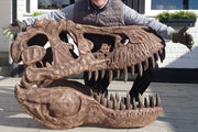 T-Rex Head - Museum Quality IN STOCK replica doll from Real size fossil replica for collectors, display and premium shelf presentation