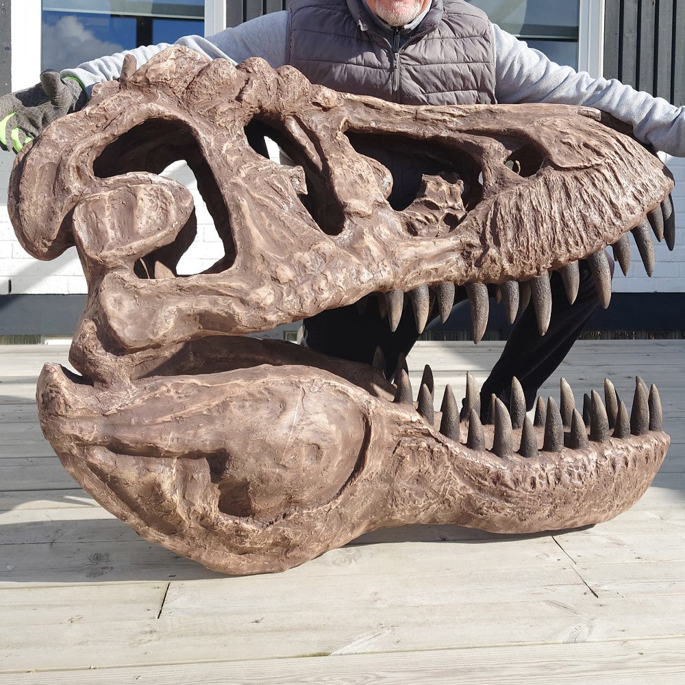 T-Rex Head - Museum Quality replica doll from Real size fossil replica for collectors, display and premium shelf presentation