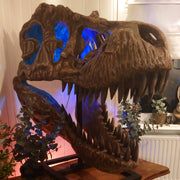 T-Rex Head - Museum Quality IN STOCK replica doll from Real size fossil replica for collectors, display and premium shelf presentation