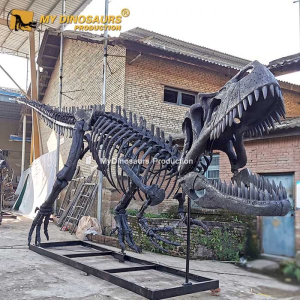 Torvosaurus - Museum Quality replica doll from Real size fossil replica for collectors, display and premium shelf presentation