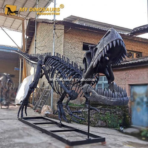 Torvosaurus - Museum Quality replica doll from Real size fossil replica for collectors, display and premium shelf presentation