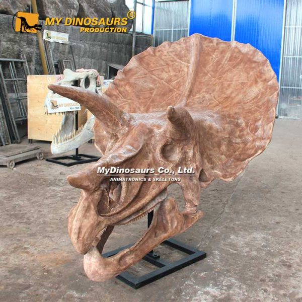 Triceratops Head - Museum Quality replica doll from Real size fossil replica for collectors, display and premium shelf presentation