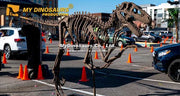 Utahraptor - Museum Quality replica doll from Real size fossil replica for collectors, display and premium shelf presentation