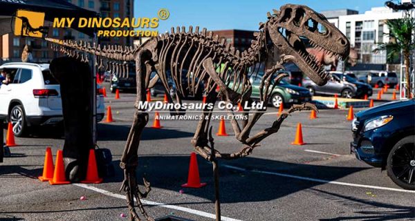 Utahraptor - Museum Quality replica doll from Real size fossil replica for collectors, display and premium shelf presentation
