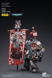 Warhammer 40k JoyToy Actionfigure - Grey Knights Terminator Retius Akantar figure for collectors, display and premium shelf presentation