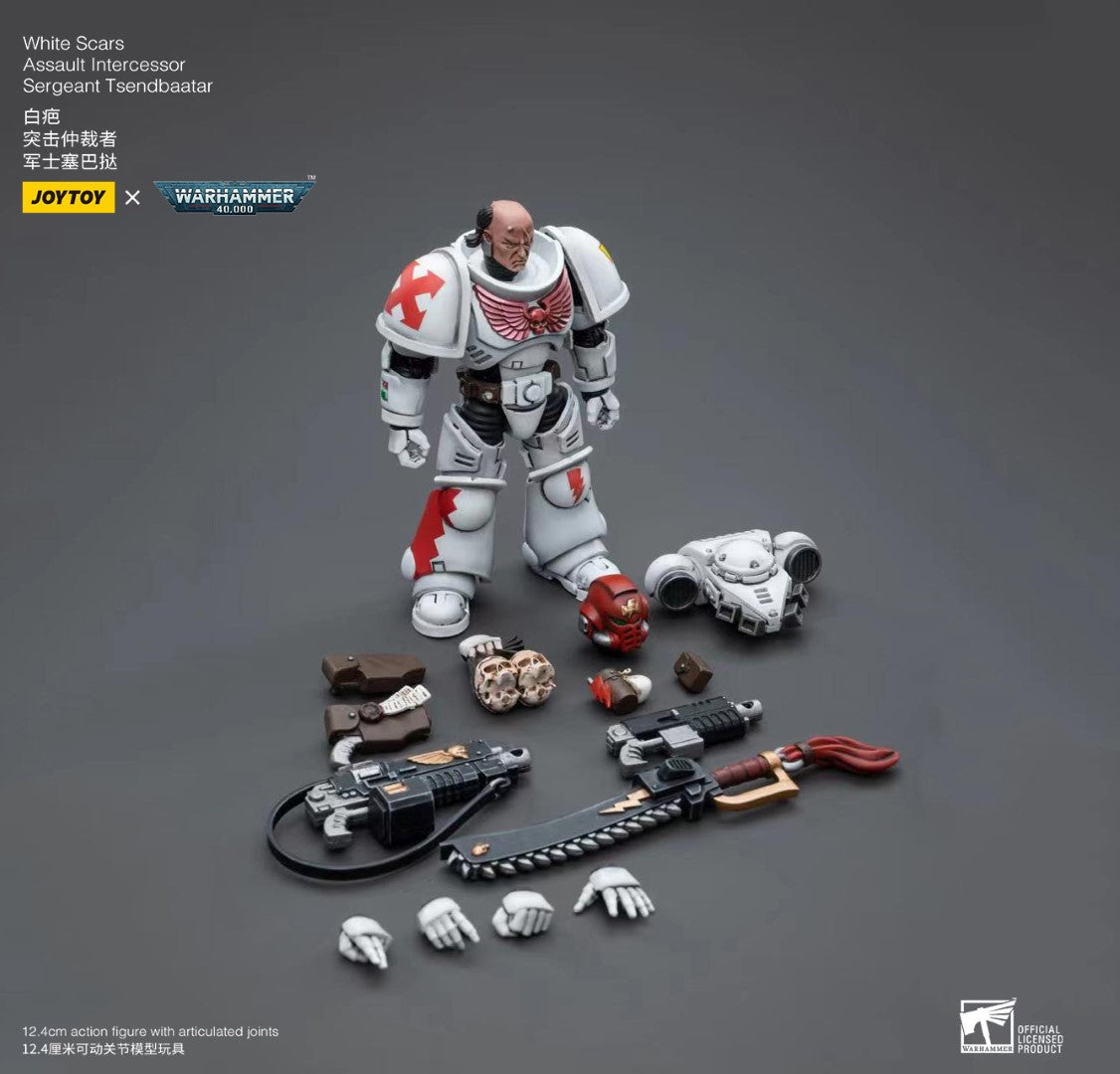 Warhammer 40k JoyToy Actionfigure - White Scars Assault lntercessor Sergeant Tsendbaatar figure for collectors, display and premium shelf