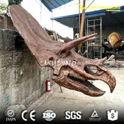 Triceratops Head - Museum Quality replica doll from Real size fossil replica for collectors, display and premium shelf presentation