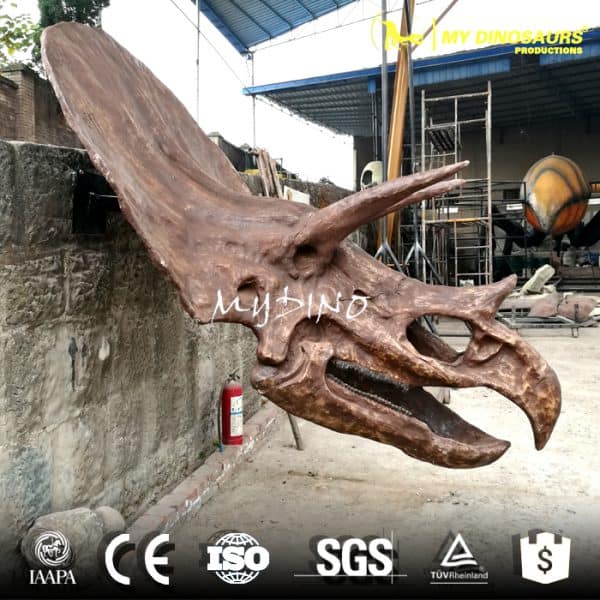 Triceratops Head - Museum Quality replica doll from Real size fossil replica for collectors, display and premium shelf presentation