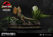 Jurassic Park - Dilophosaurus EX 1:6 - IN STOCK statue from Prime 1 Studio for collectors, display and premium shelf presentation