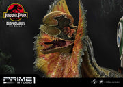 Jurassic Park - Dilophosaurus EX 1:6 - IN STOCK statue from Prime 1 Studio for collectors, display and premium shelf presentation
