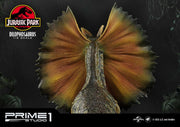 Jurassic Park - Dilophosaurus EX 1:6 - IN STOCK statue from Prime 1 Studio for collectors, display and premium shelf presentation