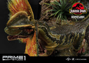 Jurassic Park - Dilophosaurus EX 1:6 - IN STOCK statue from Prime 1 Studio for collectors, display and premium shelf presentation