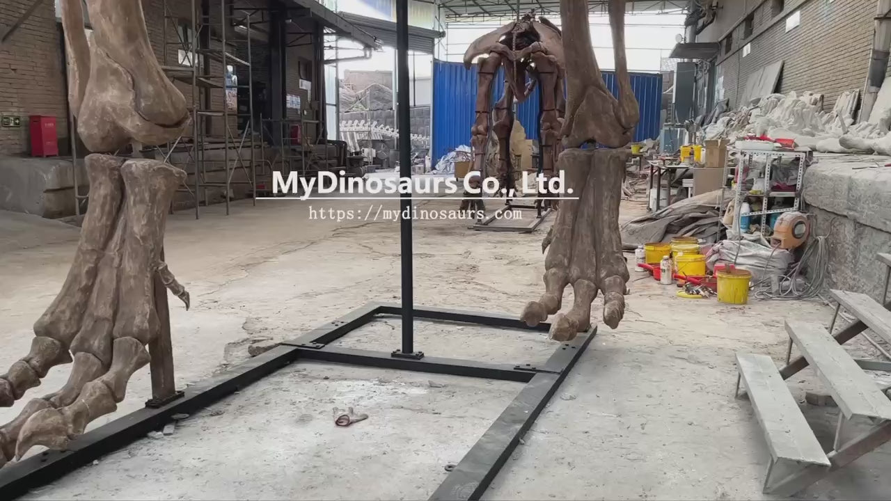 T-Rex Alpha - Museum Quality replica doll from Real size fossil replica for collectors, display and premium shelf presentation