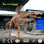 Spinosaurus Adolescent - Museum Quality replica doll from Real size fossil replica for collectors, display and premium shelf presentation