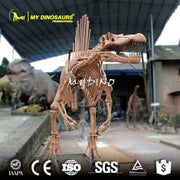 Spinosaurus Adolescent - Museum Quality replica doll from Real size fossil replica for collectors, display and premium shelf presentation