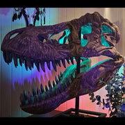 T-Rex Head - Museum Quality IN STOCK replica doll from Real size fossil replica for collectors, display and premium shelf presentation