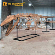Tylosaurus / Mosasaur - Museum Quality replica doll from Real size fossil replica for collectors, display and premium shelf presentation